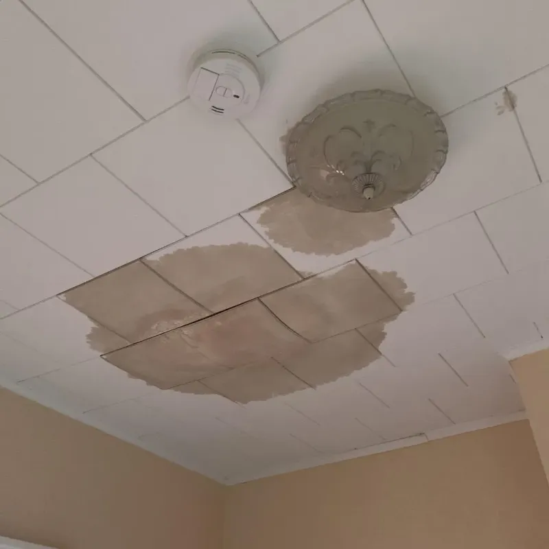 Ceiling Water Damage Repair in Brandon, MS